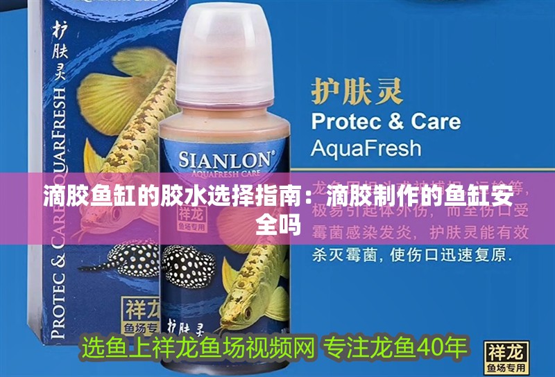 滴膠魚缸的膠水選擇指南：滴膠制作的魚缸安全嗎