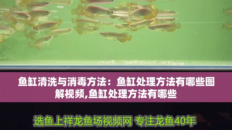 魚缸清洗與消毒方法：魚缸處理方法有哪些圖解視頻,魚缸處理方法有哪些
