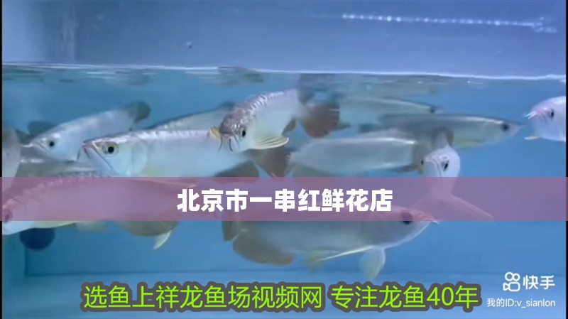 給大魚缸換水的作文:體驗(yàn)給大魚缸換水的樂(lè)趣:體驗(yàn)給大魚缸換水:給大魚缸換水的作文 北京市一串紅鮮花店 全國(guó)水族館企業(yè)名錄 北京市一串紅鮮花店 北京市一串紅鮮花店 全國(guó)水族館企業(yè)名錄