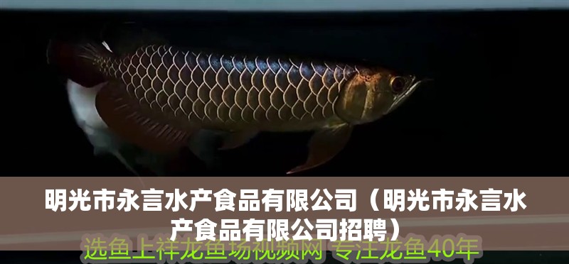 <strong><mark>明光</mark></strong>市永言水產(chǎn)食品有限公司（<strong><mark>明光</mark></strong>市永言水產(chǎn)食品有限公司招聘）