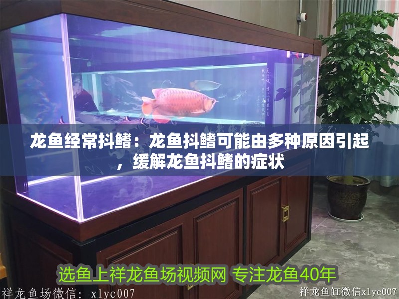 龍魚經常抖鰭：龍魚抖鰭可能由多種原因引起，緩解龍魚抖鰭的癥狀