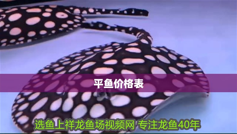平魚價格表