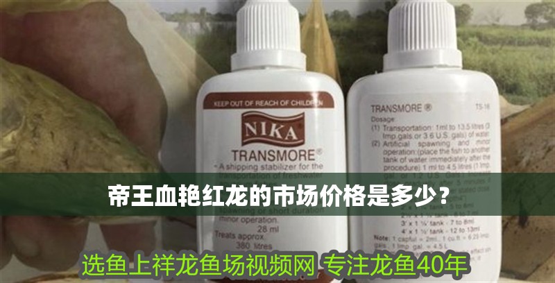 帝王血艷紅龍的市場價格是多少？
