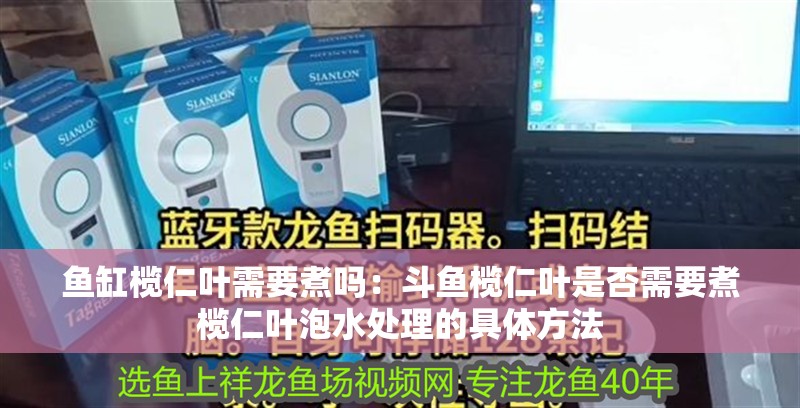 魚缸欖仁葉需要煮嗎：斗魚欖仁葉是否需要煮欖仁葉泡水處理的具體方法