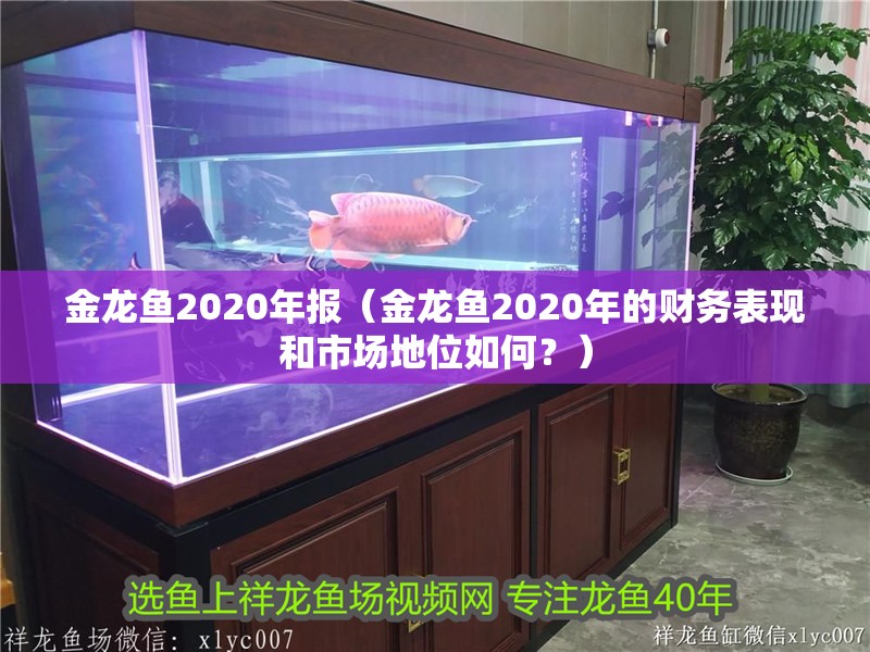 金龍魚2020年報（金龍魚2020年的財務(wù)表現(xiàn)和市場地位如何？）