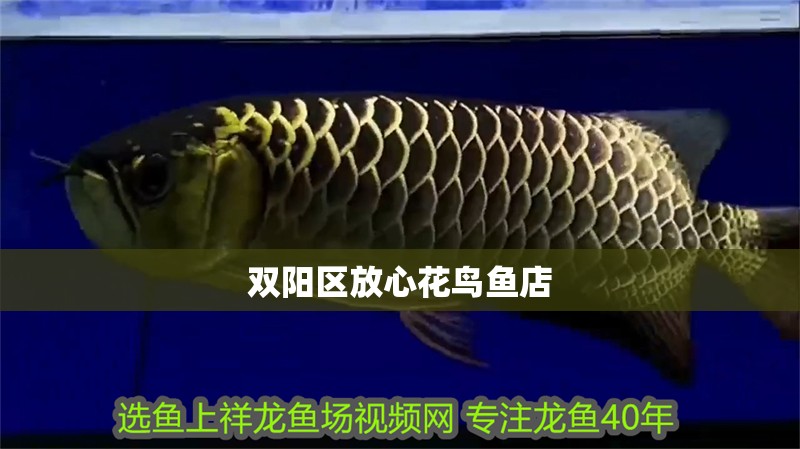 雙陽區(qū)放心花鳥魚店 雙陽區(qū)放心花鳥魚店 全國水族館企業(yè)名錄