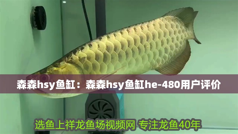 森森hsy魚缸：森森hsy魚缸he-480用戶評價