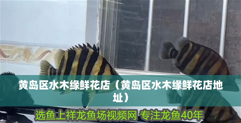 黃島區水木緣鮮花店（黃島區水木緣鮮花店地址）