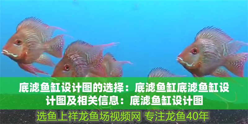 底濾魚缸設計圖的選擇：底濾魚缸底濾魚缸設計圖及相關信息：底濾魚缸設計圖