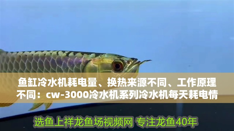 魚缸冷水機耗電量、換熱來源不同、工作原理不同：cw-3000冷水機系列冷水機每天耗電情況大概這樣子的