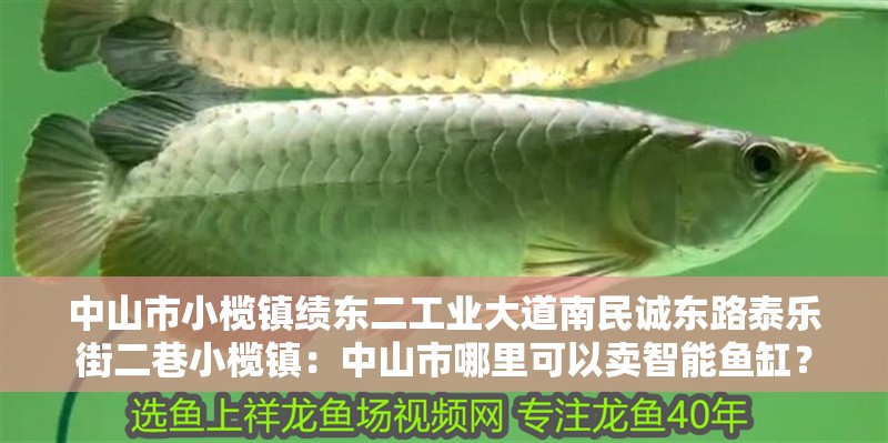 中山市小欖鎮(zhèn)績(jī)東二工業(yè)大道南民誠(chéng)東路泰樂街二巷小欖鎮(zhèn)：中山市哪里可以賣智能魚缸？