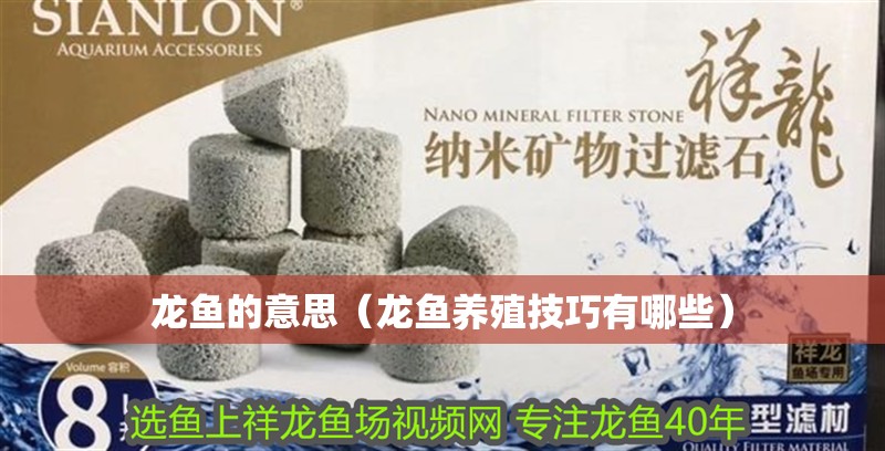 龍魚(yú)的意思（龍魚(yú)養(yǎng)殖技巧有哪些）