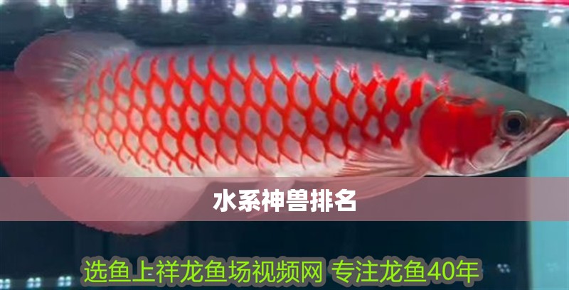 水系神獸排名