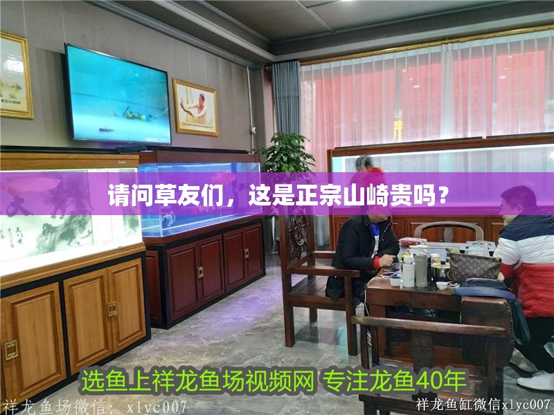 請問草友們，這是正宗山崎貴嗎？