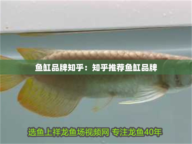 魚缸品牌知乎：知乎推薦魚缸品牌