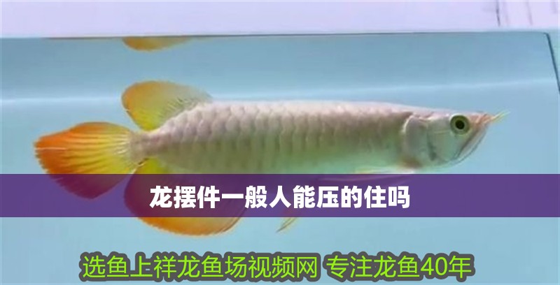 龍擺件一般人能壓的住嗎 龍擺件一般人能壓的住嗎 龍魚論壇