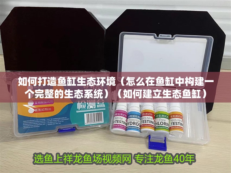 如何打造魚缸生態(tài)環(huán)境（怎么在魚缸中構(gòu)建一個(gè)完整的生態(tài)系統(tǒng)）（如何建立生態(tài)魚缸）