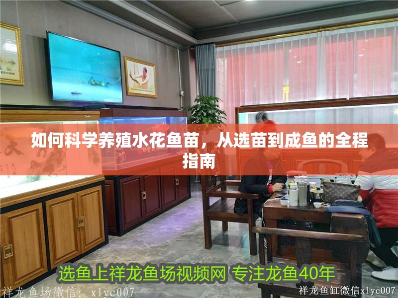 如何科學養殖水花魚苗，從選苗到成魚的全程指南