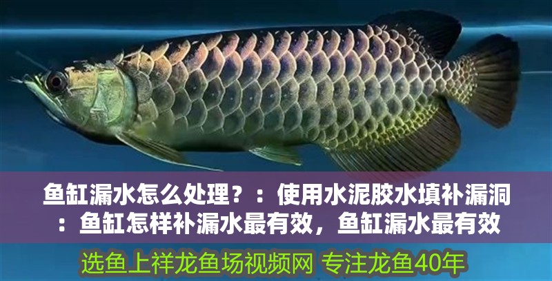 魚缸漏水怎么處理？：使用水泥膠水填補漏洞：魚缸怎樣補漏水最有效，魚缸漏水最有效