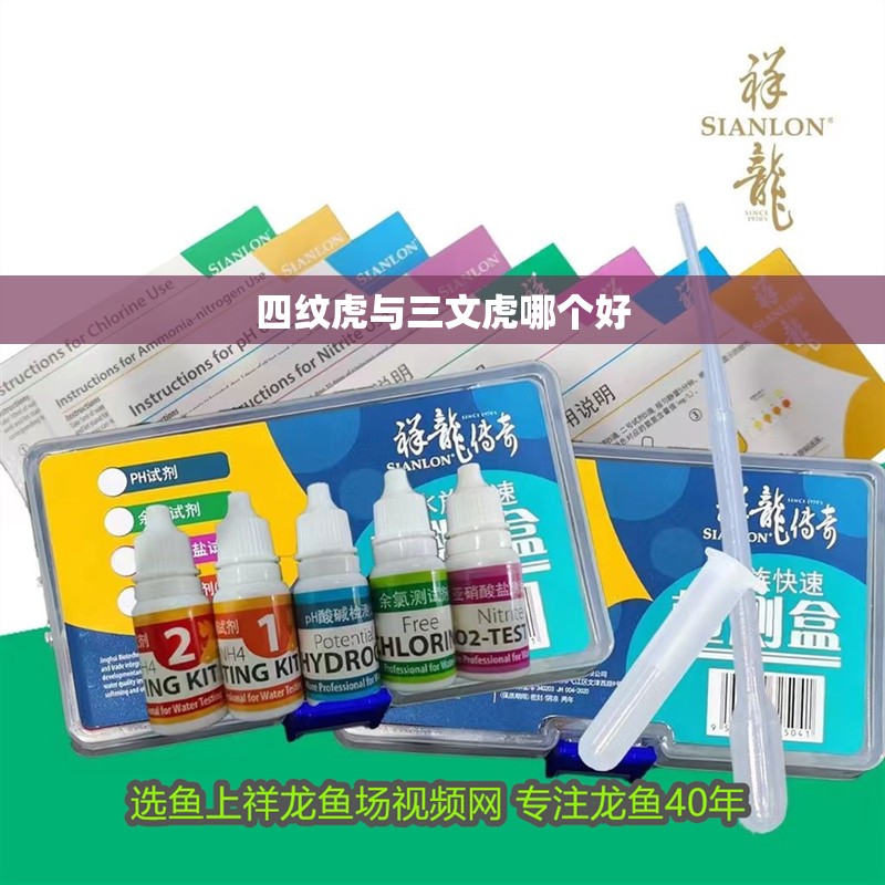 四紋虎與三文虎哪個好