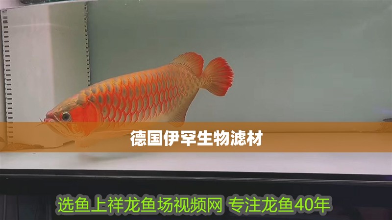 德國伊罕生物濾材