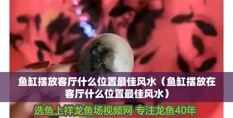 魚缸擺放客廳什么位置最佳風水（魚缸擺放在客廳什么位置最佳風水）