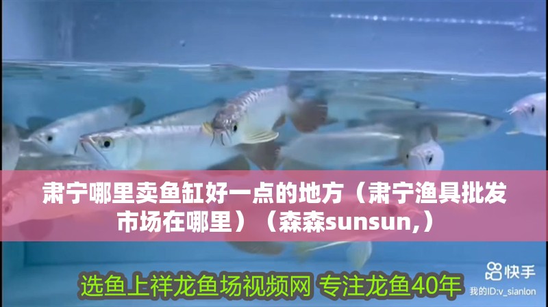 肅寧哪里賣魚(yú)缸好一點(diǎn)的地方（肅寧漁具批發(fā)市場(chǎng)在哪里）（森森sunsun,）