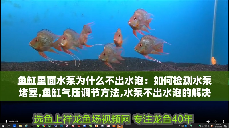 魚缸里面水泵為什么不出水泡：如何檢測水泵堵塞,魚缸氣壓調節方法,水泵不出水泡的解決步驟 魚缸里面水泵為什么不出水泡：如何檢測水泵堵塞,魚缸氣壓調節方法,水泵不出水泡的解決步驟 魚缸百科