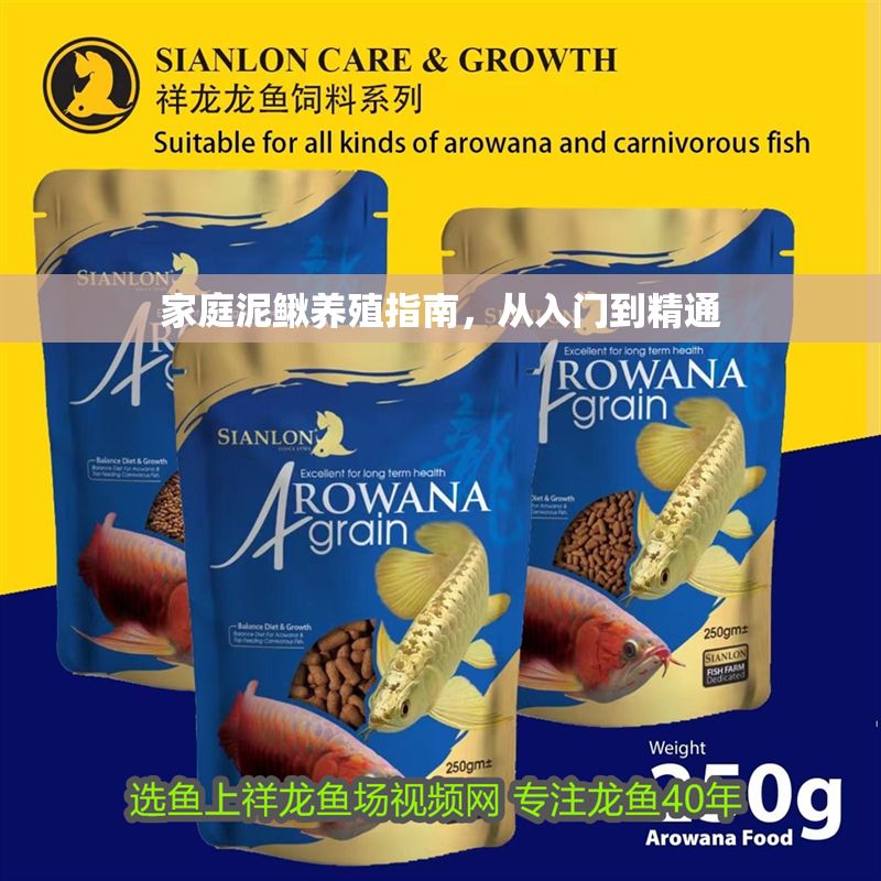 家庭泥鰍養(yǎng)殖指南，從入門到精通