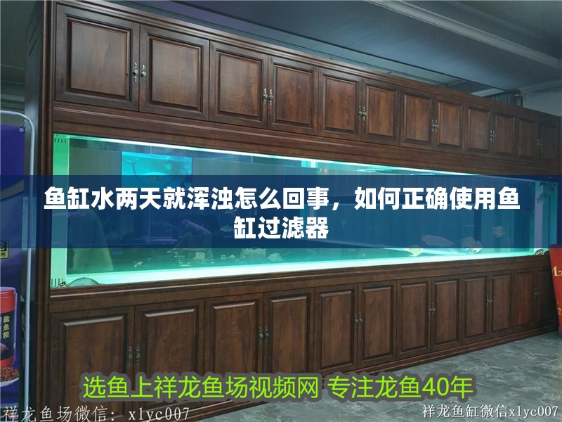 魚缸用增氧泵價格是多少:魚缸增氧機-xtrac增氧機-xtrac增氧機 魚缸水兩天就渾濁怎么回事,如何正確使用魚缸過濾器 魚缸百科 魚缸水兩天就渾濁怎么回事,如何正確使用魚缸過濾器 魚缸水兩天就渾濁怎么回事,如何正確使用魚缸過濾器 魚缸百科