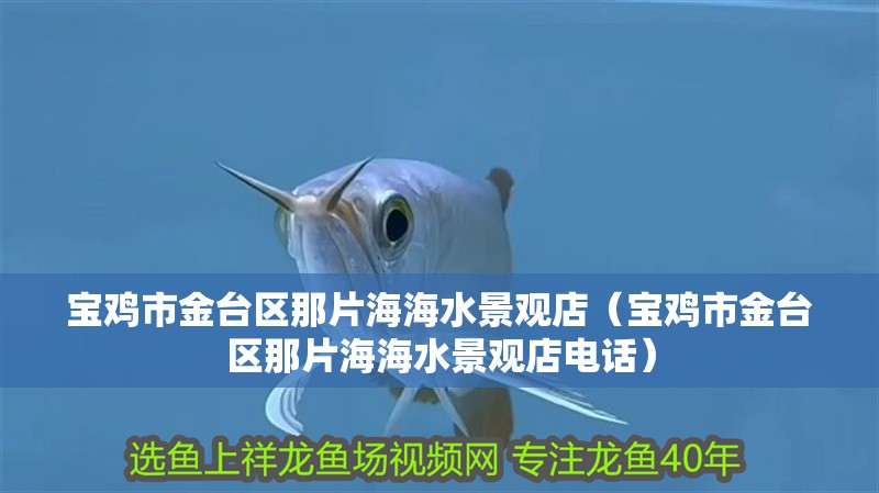 寶雞市金臺區那片海海水景觀店（寶雞市金臺區那片海海水景觀店電話）