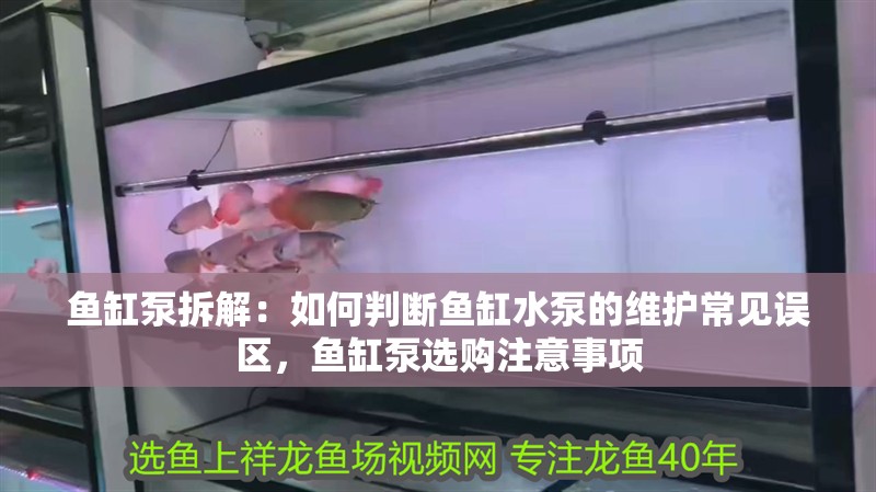 魚缸泵拆解：如何判斷魚缸水泵的維護(hù)常見誤區(qū)，魚缸泵選購注意事項