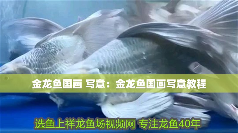 金龍魚國畫 寫意：金龍魚國畫寫意教程