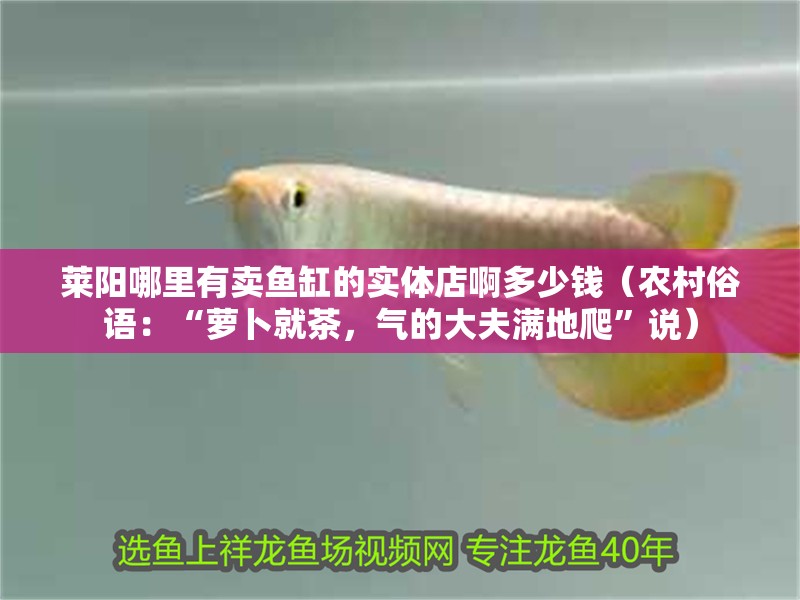 萊陽(yáng)哪里有賣魚(yú)缸的實(shí)體店啊多少錢(qián)（農(nóng)村俗語(yǔ)：“蘿卜就茶，氣的大夫滿地爬”說(shuō)）