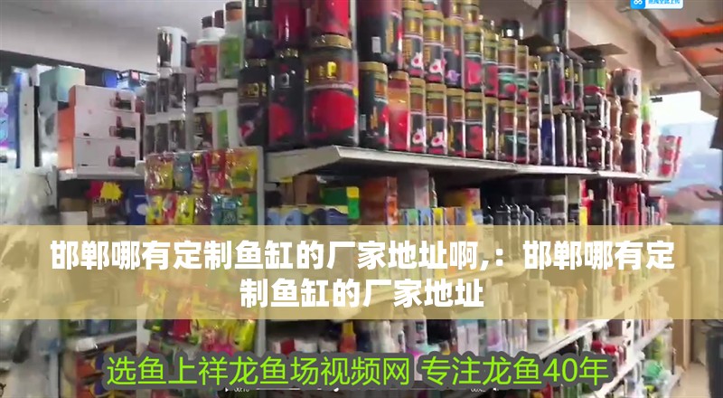 邯鄲哪有定制魚缸的廠家地址啊,：邯鄲哪有定制魚缸的廠家地址