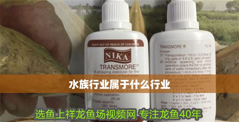 水族行業(yè)屬于什么行業(yè)