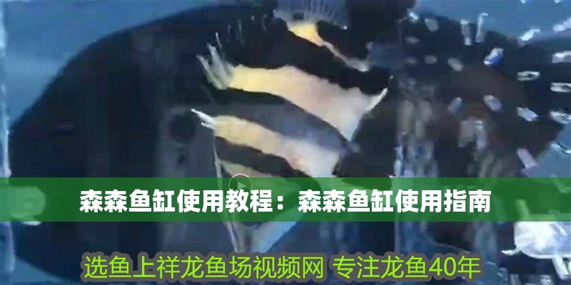 森森魚缸使用教程：森森魚缸使用指南