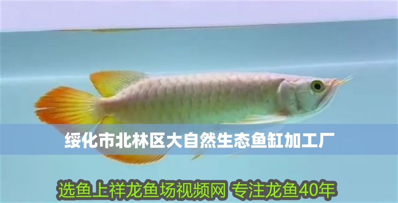 綏化市北林區大自然生態魚缸加工廠