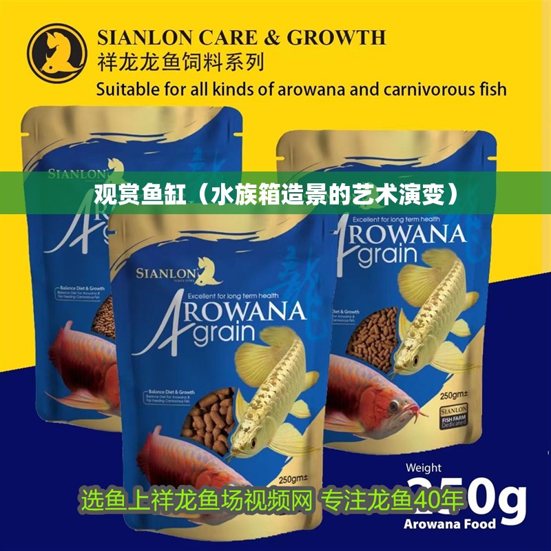 觀賞魚缸（水族箱造景的藝術(shù)演變）