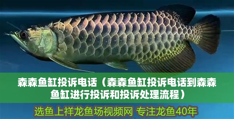 森森魚缸投訴電話（森森魚缸投訴電話到森森魚缸進行投訴和投訴處理流程）