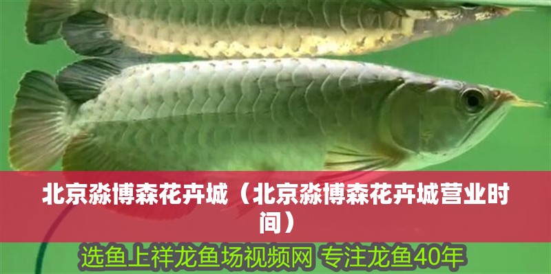 北京淼博森花卉城（北京淼博森花卉城營業時間）