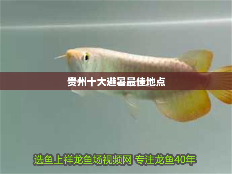 貴州十大避暑最佳地點