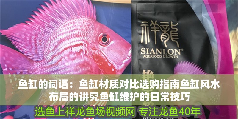 魚缸的詞語：魚缸材質(zhì)對比選購指南魚缸風水布局的講究魚缸維護的日常技巧