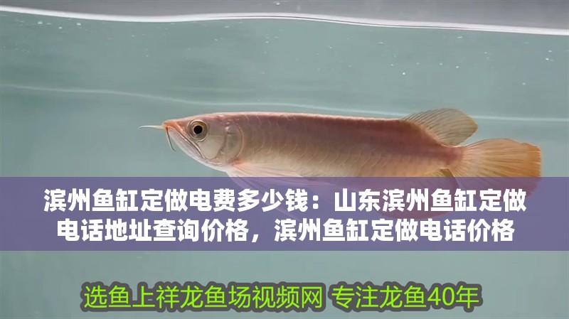 濱州魚缸定做電費多少錢：山東濱州魚缸定做電話地址查詢價格，濱州魚缸定做電話價格