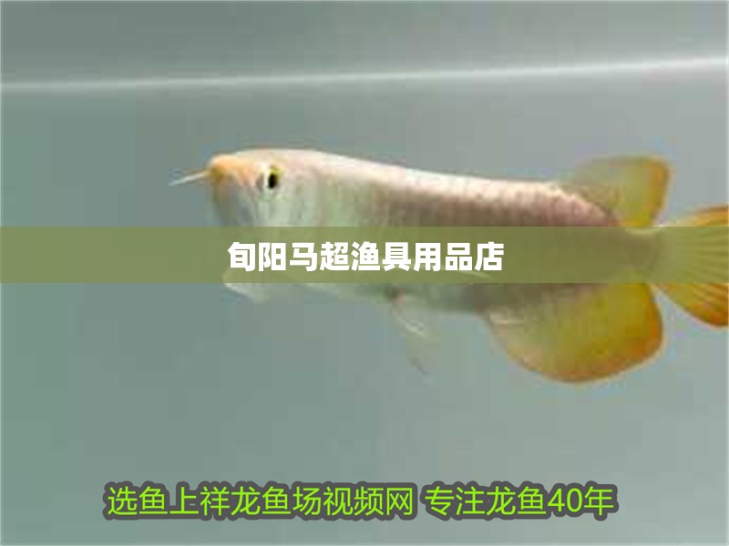 旬陽馬超漁具用品店