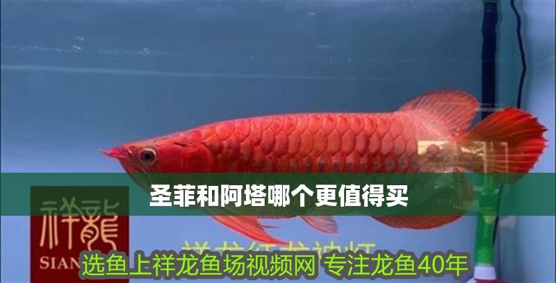 圣菲和阿塔哪個更值得買