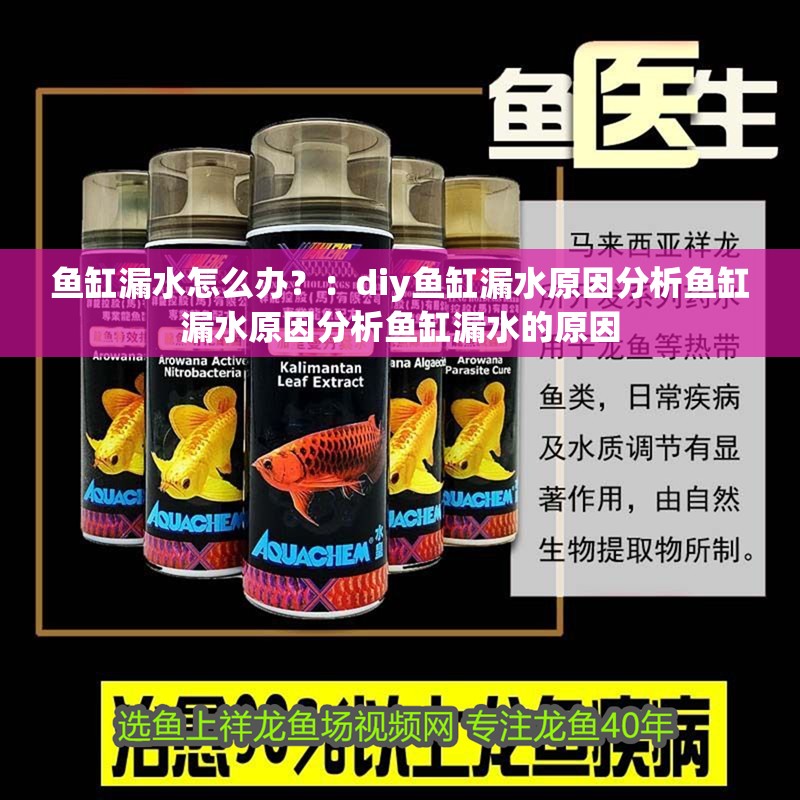 魚缸漏水怎么辦？：diy魚缸漏水原因分析魚缸漏水原因分析魚缸漏水的原因