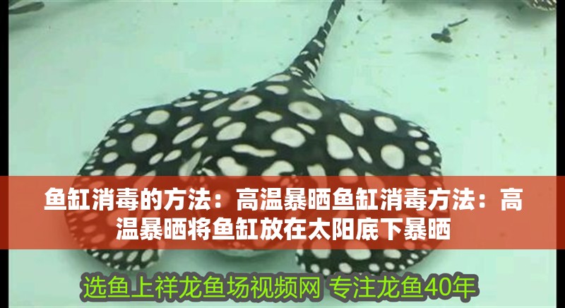 魚缸消毒的方法：高溫暴曬魚缸消毒方法：高溫暴曬將魚缸放在太陽底下暴曬