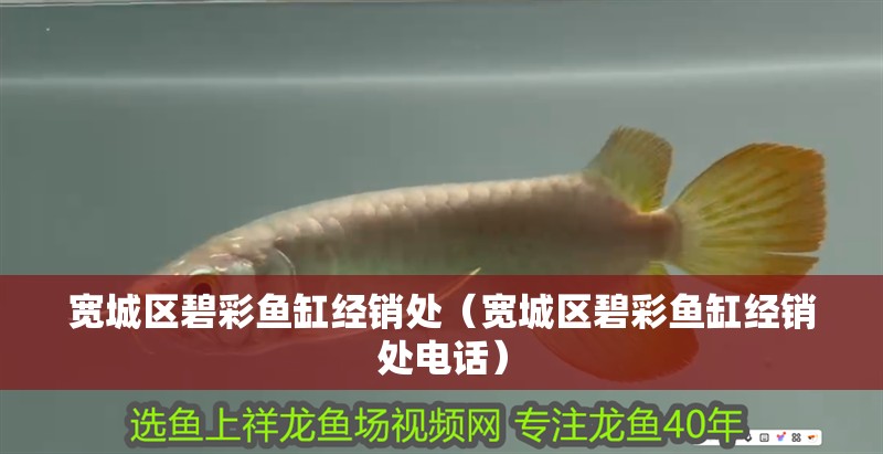 寬城區碧彩魚缸經銷處（寬城區碧彩魚缸經銷處電話）