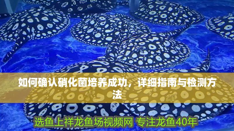 如何確認硝化菌培養成功，詳細指南與檢測方法